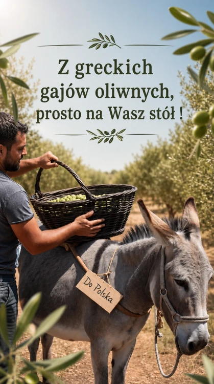Oliwa Koroneiki premium z Peloponezu