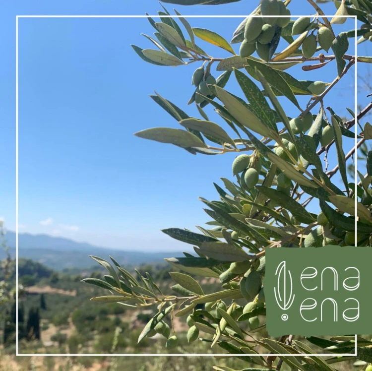 Oliwa Koroneiki z naturalnym aromatem cytryny