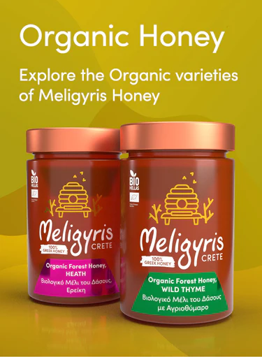 Organiczny miód grecki Meligyris 270g