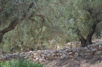 0fb0581045cda9961c9f37e35f45