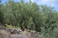 44f5867e4e22961dbcbef02cd72b