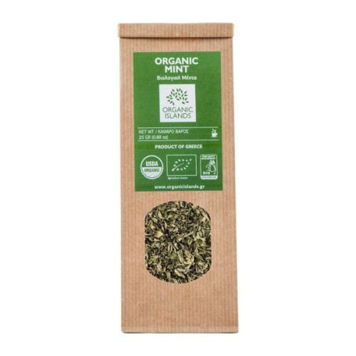 Mint-craft-2-600x600.jpg