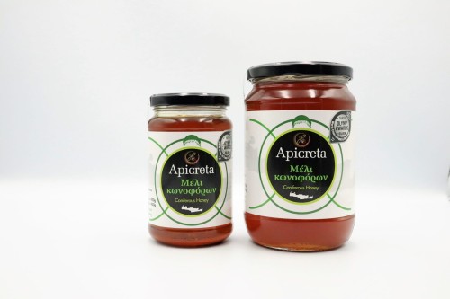 Miód iglasty Apicreta 450g