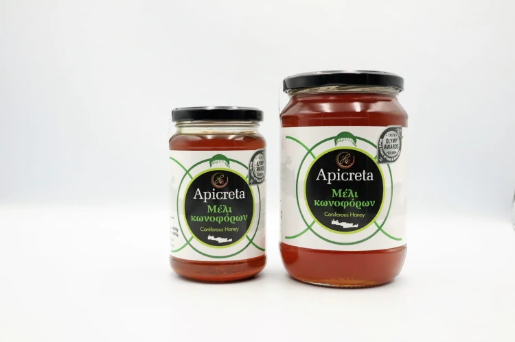 Miód iglasty Apicreta 450g